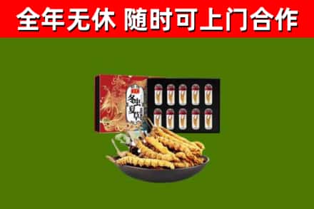 松滋回收冬虫夏草价格