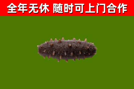 松滋烟酒回收干海参.jpg